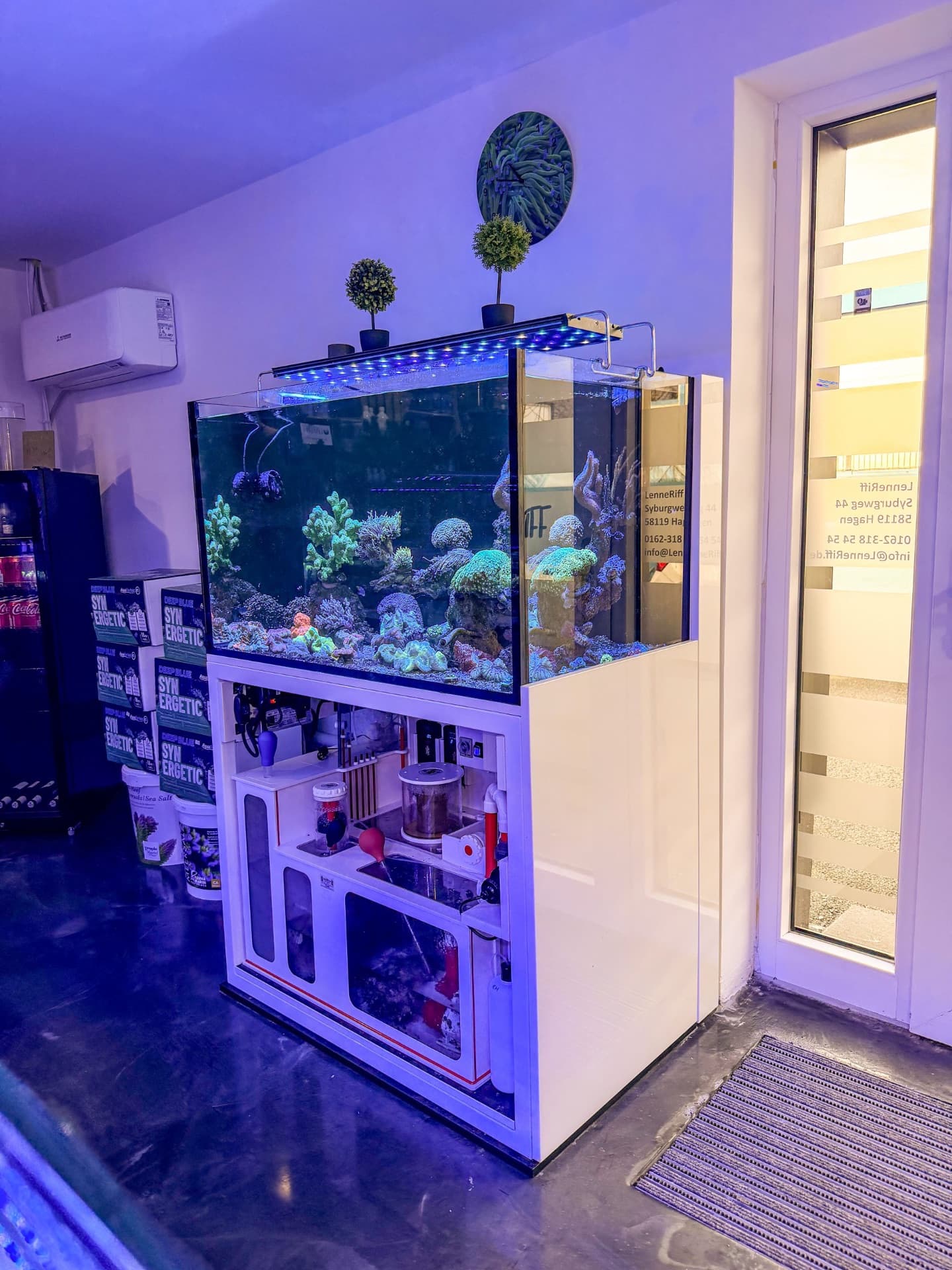 Innenansicht von LenneRiff – Meerwasseraquaristik in Hagen